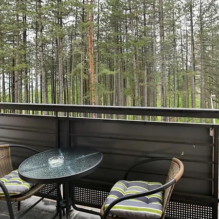 White Bear * Ζλάτιμπορ