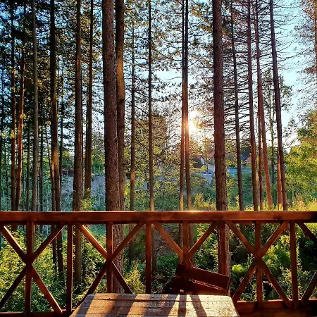 White Bear Apartment