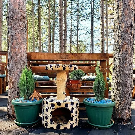 Διαμέρισμα White Bear