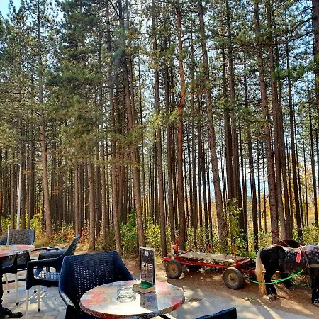 White Bear Διαμέρισμα