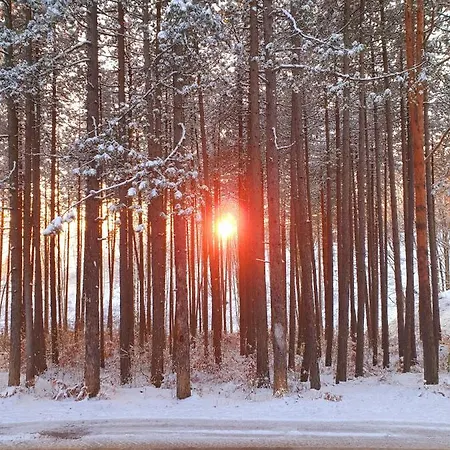 White Bear Διαμέρισμα